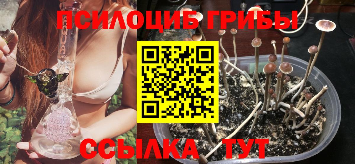 Псилоцибиновые грибы GOLDEN TEACHER  купить наркотик  Аксай  Вход с VPN 