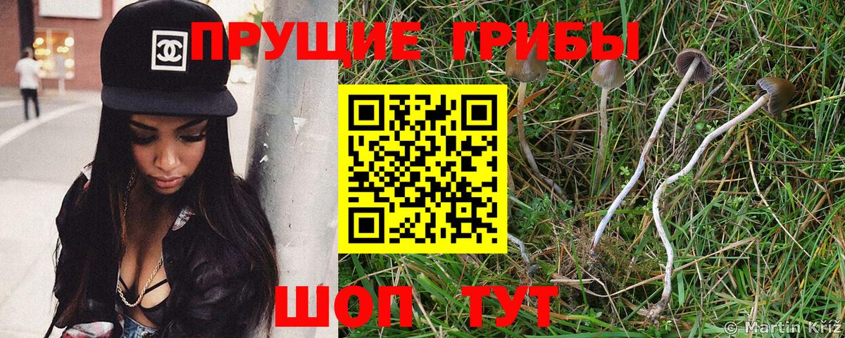 Псилоцибиновые грибы ЛСД Аксай